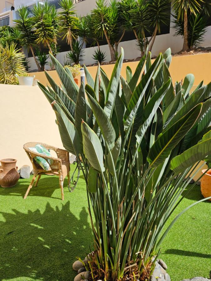 New Holiday Home Beautiful Sea View With Aircon, Costa Adeje Costa Adeje (Tenerife) Exterior photo